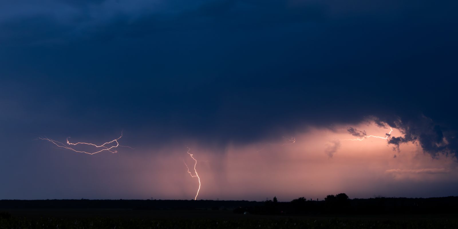 Ciel nocturne étoilé au-dessus d'une prairie sombre